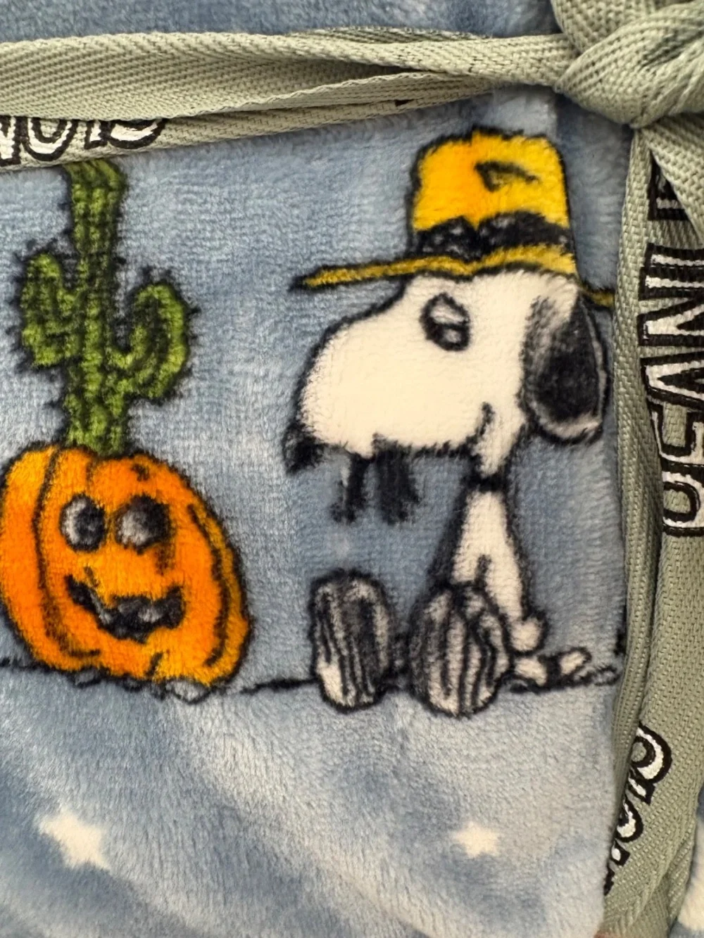 Viral Berkshire KING Peanuts Snoopy Halloween Blanket Cactus